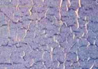 Paint Wrinkling problems