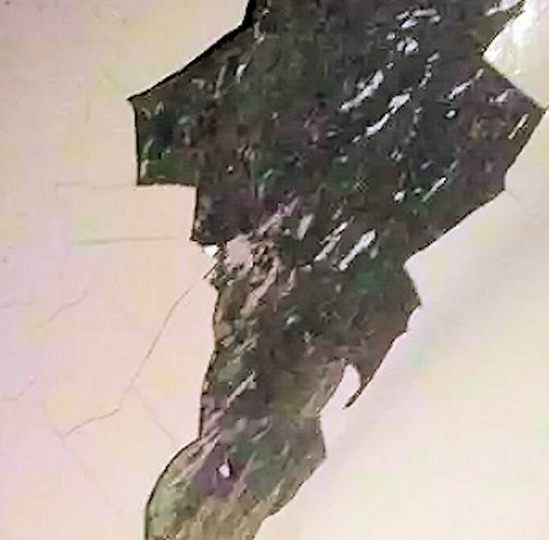 Vehicle Paint Adhesion help